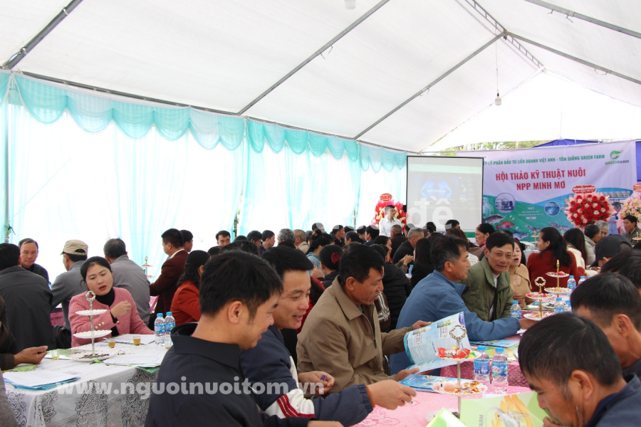 Việt Anh Group: Cung cấp bộ giải pháp toàn diện cho người nuôi thủy sản