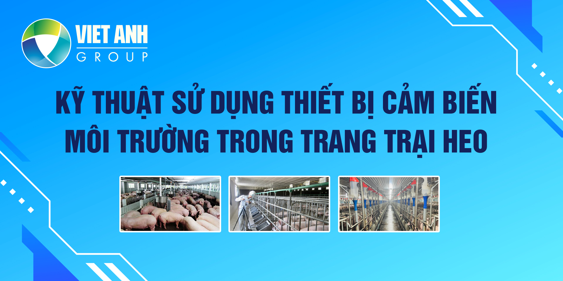 Kỹ thuật sử dụng thiết bị cảm biến môi trường trong trang trại heo