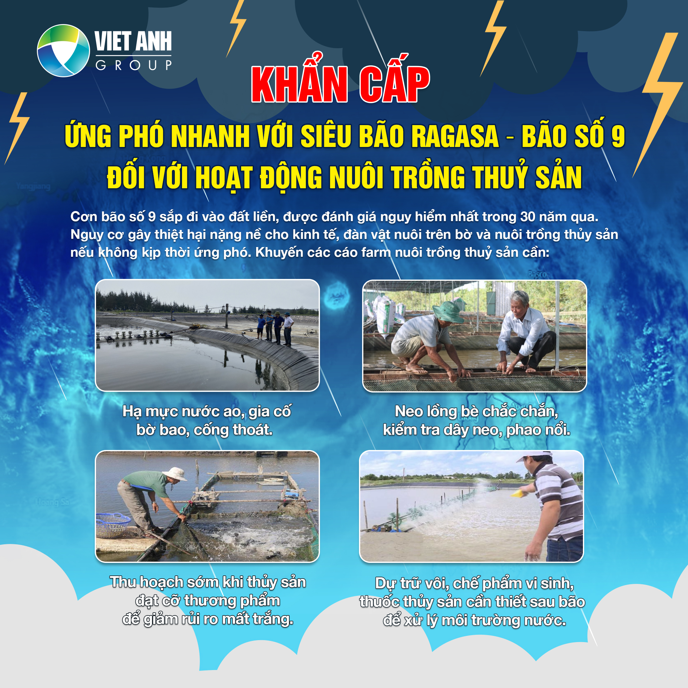 Biện pháp ứng phó nhanh với bão cho các trang trại chăn nuôi