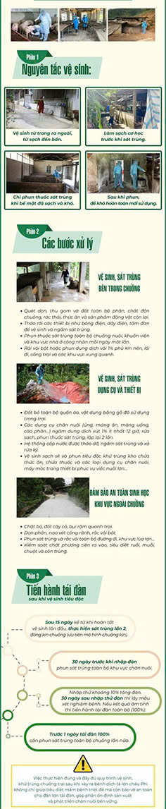 Hướng dẫn xử lý chuồng trại sau khi nhiễm Dịch tả heo châu Phi