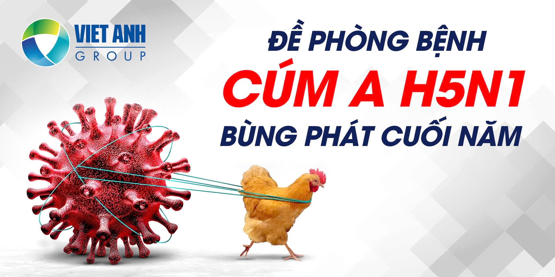 BIỆN PHÁP PHÒNG DỊCH CÚM GIA CẦM ĐỘC LỰC CAO CUỐI NĂM
